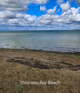 Relax on Thorness Bay Beach 🏖️